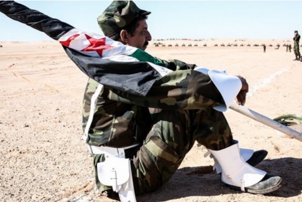  موقع إخباري: الدبلوماسية المغربية تدفع البوليساريو لعزلة أشد