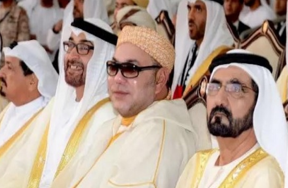  ردود فعل عربية غير مسبوقة مؤيدة لتدخل القوات المسلحة الملكية ضد البوليساريو