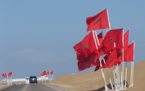  الصحراء دائما وأبدا