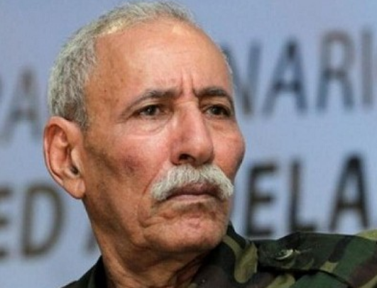  الصحراء المغربية.. عندما تفضح قناة “أرتي” الأخبار الكاذبة لـ “البوليساريو” وأذنابها !