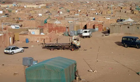  صحراوي يندد في جنيف بقمع أصوات معارضة بتواطؤ مع السلطات الجزائرية