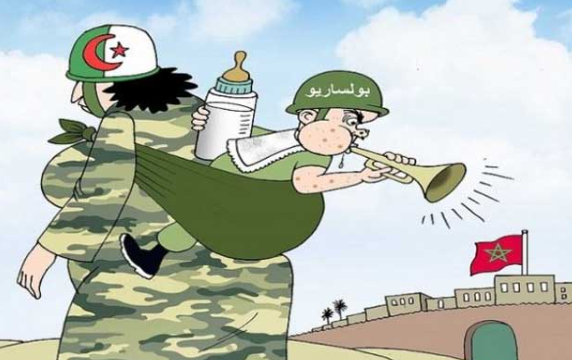  هزيمة جديدة .. نيوزيلندا تصفع انفصاليي “البوليساريو” وجنرالات الجزائر