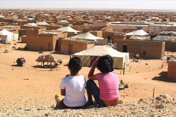  جنيف: منظمة إيطالية تدعو إلى تحرك عاجل لإنهاء استغلال الأطفال بمخيمات تندوف