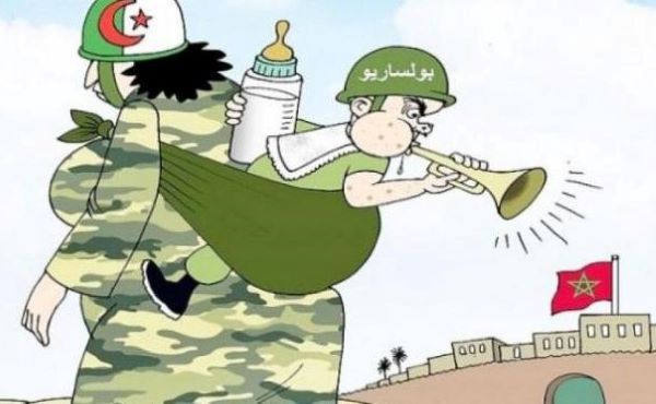  خبير سياسي: “البوليساريو”.. أداة عسكرية يوظفها النظام الجزائري من أجل زعزعة استقرار المنطقة