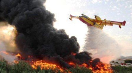  بتعليمات ملكية… المغرب مستعد لمساعدة الجزائر في مكافحة حرائق الغابات