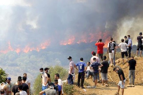  بسبب نظام الجنرالات والحرائق..الجزائر تتحول إلى قطعة جحيم على الأرض
