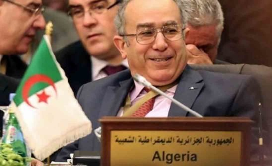  الجزائر .. دبلوماسية متخلفة تحاول إيجاد موطئ قدم لها في ليبيا