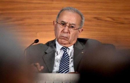  خبير أمريكي: الجزائر قطعت علاقتها مع المغرب لصرف الانتباه عن مشاكلها الداخلية