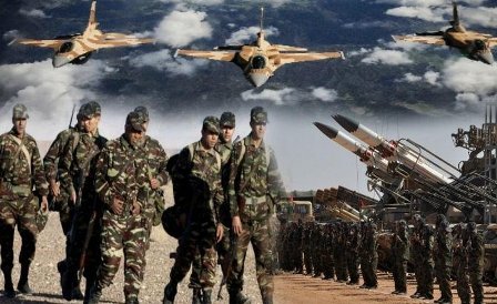  الأسد الإفريقي 2022 سيكون الأضخم على الإطلاق
