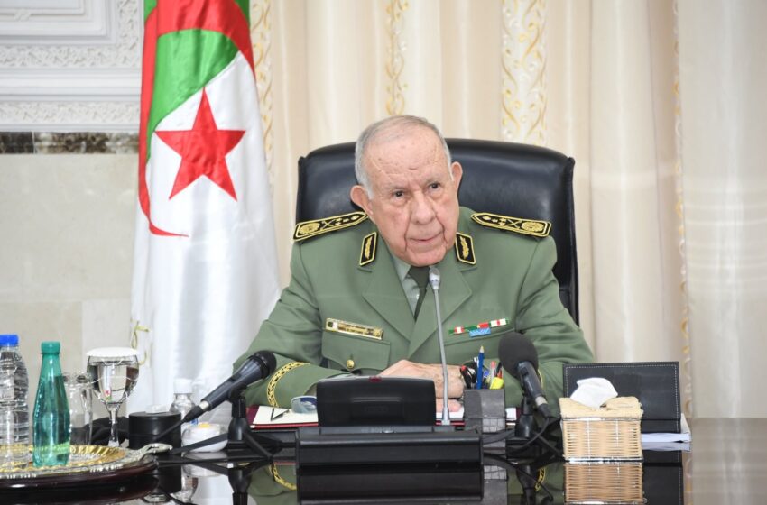 زيارة المسؤول الإسرائيلي للمغرب وردود الفعل المُضحكة من كابرانات الجزائر لإخفاء خيبتهم