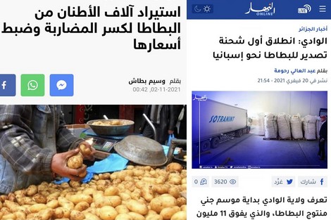  الجزائر تستورد كميات كبيرة من “البطاطا” وتدعي أنها أول بلد إفريقي منتج ومصدر لها