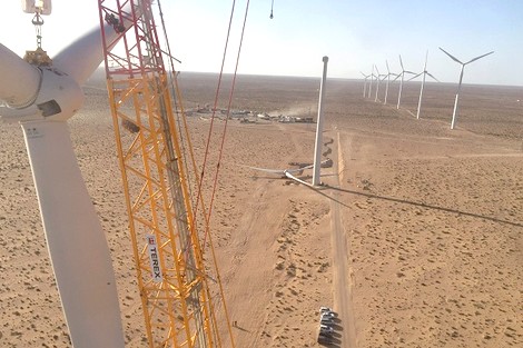  مشاريع الطاقات المتجددة تزدهر بالصحراء المغربية
