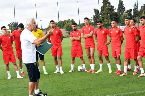  وحيد خاليلوزيتش : “سنعمل كل ما في وسعنا للعودة من الكاميرون مرفوعي الرأس”