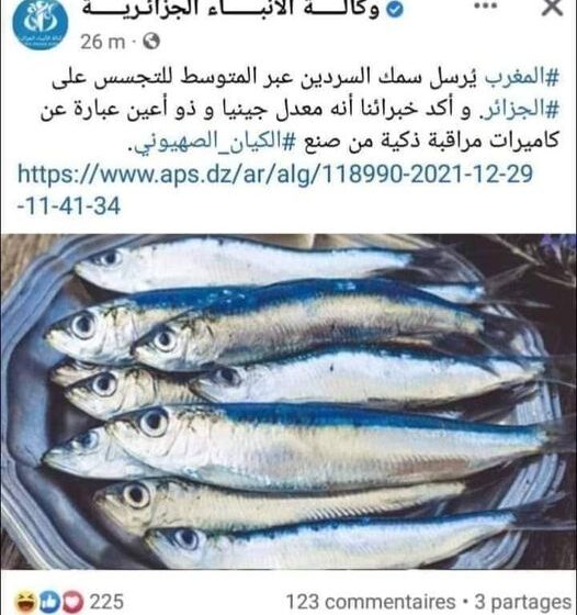 نكتة رأس السنة ?? المغرب يرسل كائنات أليه على شكل سمك السردين ??