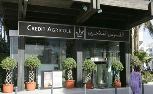  تنفيذا للتعليمات الملكية .. القرض الفلاحي يعبئ 6 مليار درهم لتنفيذ برنامج مكافحة آثار الجفاف