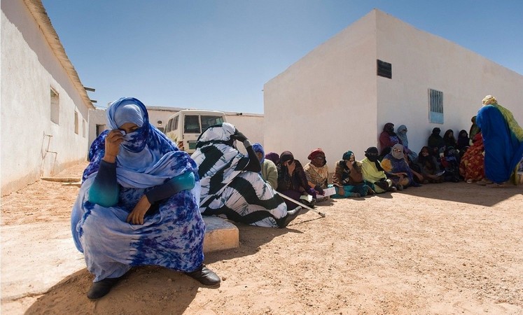  إيطاليا..تنديد بالانتهاكات الجسيمة لحقوق الإنسان في مخيمات تندوف