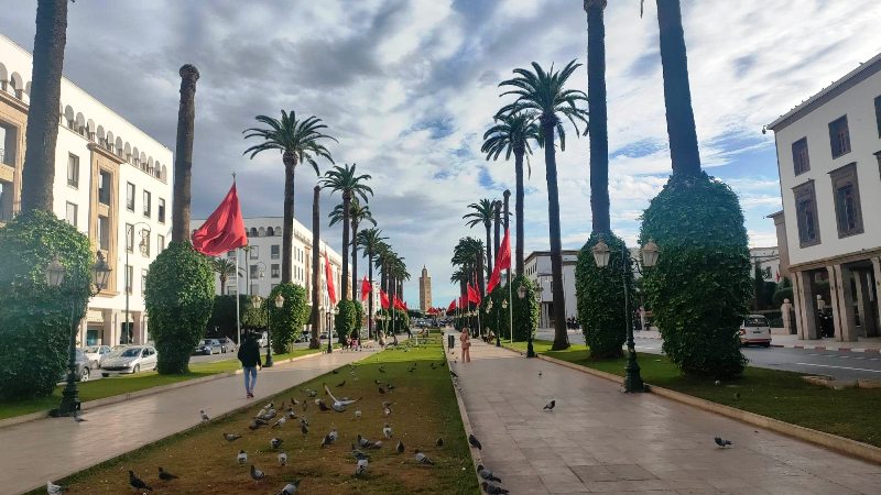  الاستثمارات في إفريقيا.. المغرب “رائد كبير يعمل على تطوير علاقات هامة”