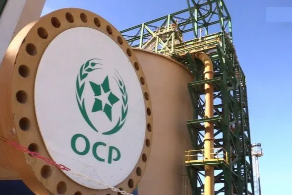  هكذا أحدث OCP ثورة في أجندته المتجددة