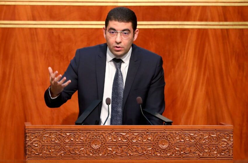  المهدي بنسعيد يعلن رفع الدعم المخصص للصحافة الى 200 مليون درهم ومؤسسة للنهوض بأوضاع الصحافيين
