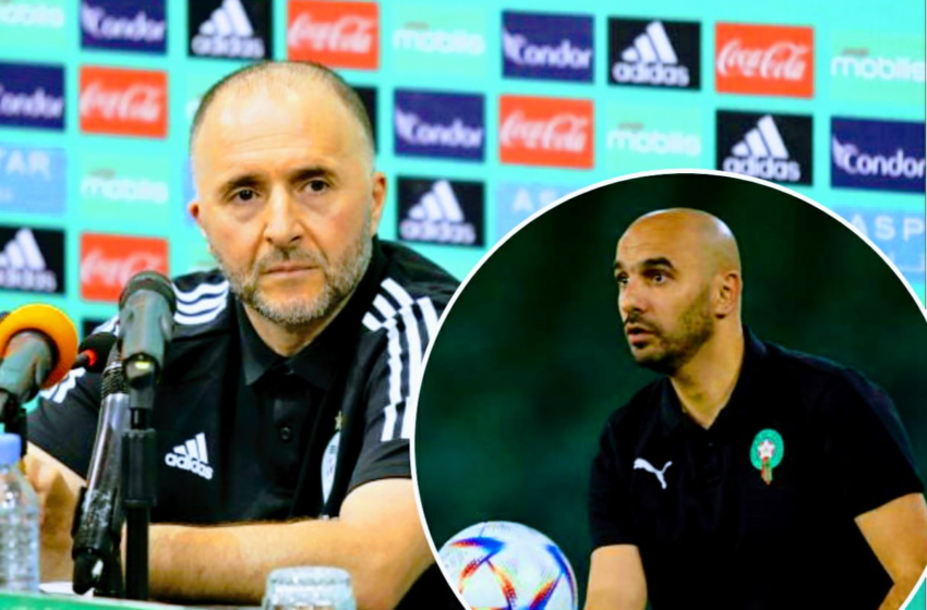  مدرب المنتخب الجزائري يشيد بإنجاز “الأسود” في المونديال .. وهذا ما قاله عن الركراكي