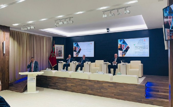  المعادن الإستراتيجية…المجلس الاقتصادي يرصد إكراهات وعوائق الاستغلال