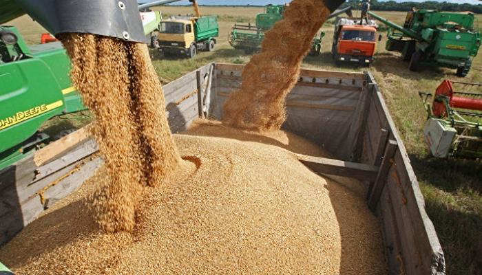  بسبب الجفاف…ارتفاع واردات المغرب من القمح خلال سنة 2022