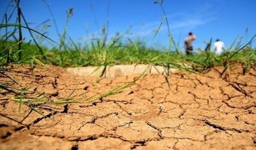  وكالة “فتيش”: النمو الاقتصادي بالمغرب لن يتجاوز 1.8 في المائة بسبب ضعف الموسم الفلاحي