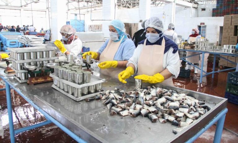  بعد الفوسفاط والسيارات.. المغرب يتموقع ضمن كبار مصدري المنتوجات الغذائية في العالم