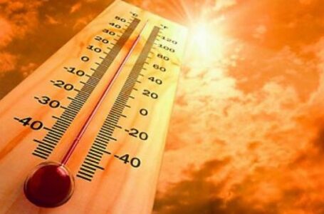 موجات الحرارة تجدد مطلب التأهب لمخاطر لدغات العقارب والأفاعي بالمغرب