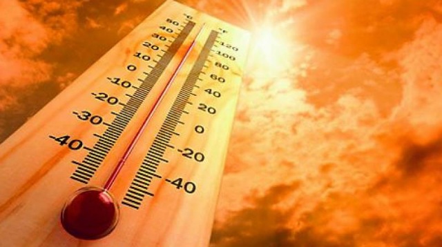  موجات الحرارة تجدد مطلب التأهب لمخاطر لدغات العقارب والأفاعي بالمغرب