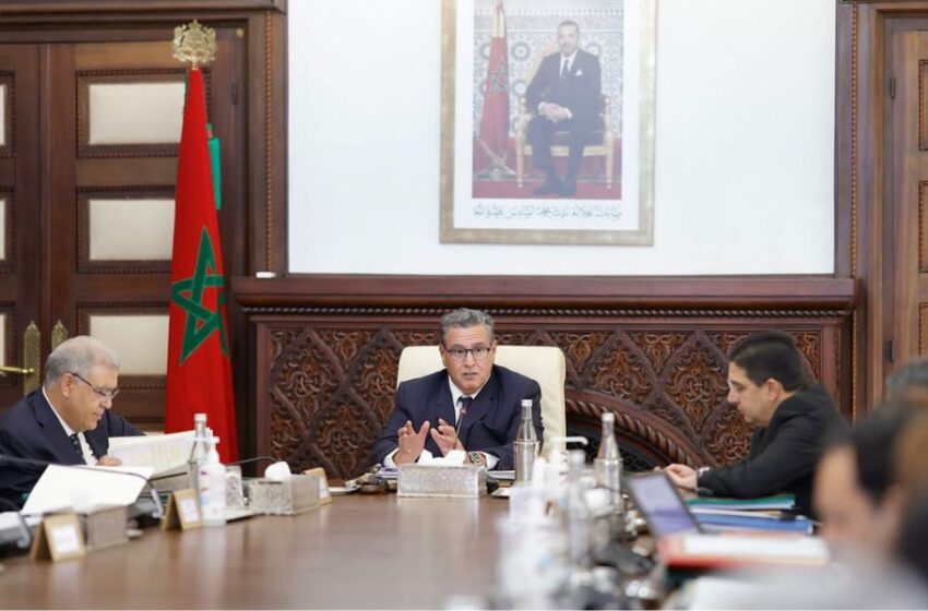  رسميا ..مجلس الحكومة يعتمد 14 يناير عطلة للسنة الأمازيغية مدفوعة الأجر