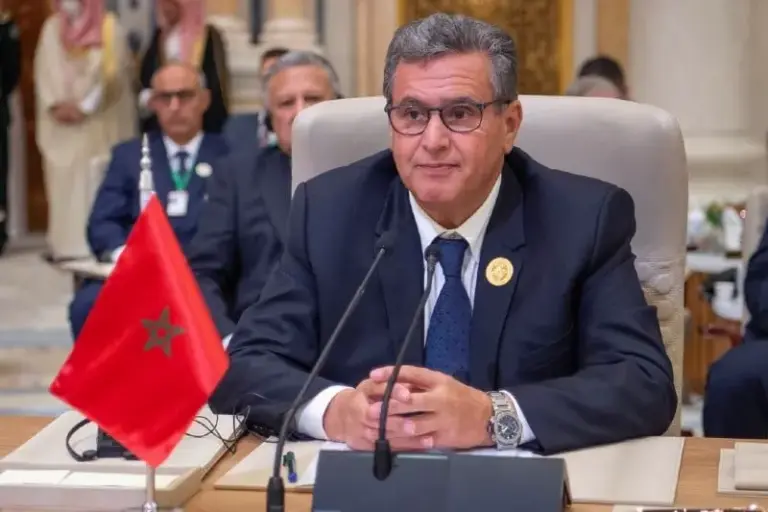 أخنوش.. بفضل رؤية جلالة الملك المغرب أصبح رائدا قاريا في مجال الطاقات المتجددة