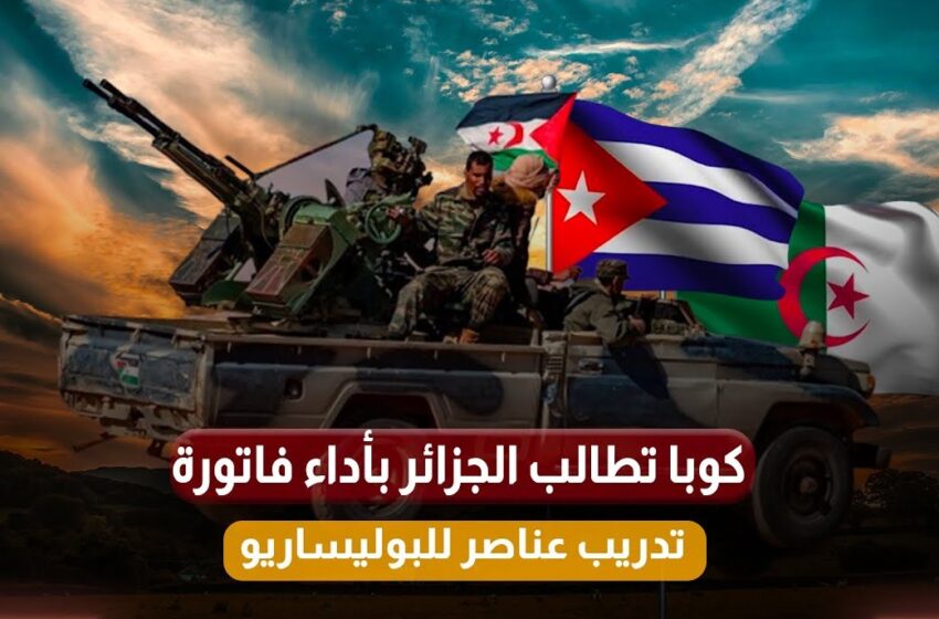  العلاقات الجزائرية-الكوبية على صفيح ساخن.. هافانا تهدد بطرد عناصر من ميليشيات البوليساريو في حالة عدم تلقيها لمبلغ نصف مليار دولار