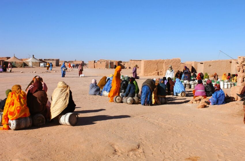  بعد الاعتراف بمغربية الصحراء.. بابوا غينيا تستنكر انتهاكات حقوق الإنسان في تندوف
