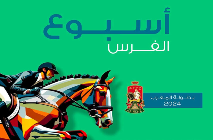  أسبوع الفرس 2024 .. الفارس غالي بوكجة يفوز ببطولة المغرب في القفز على الحواجز لفئة أقل من 18 سنة