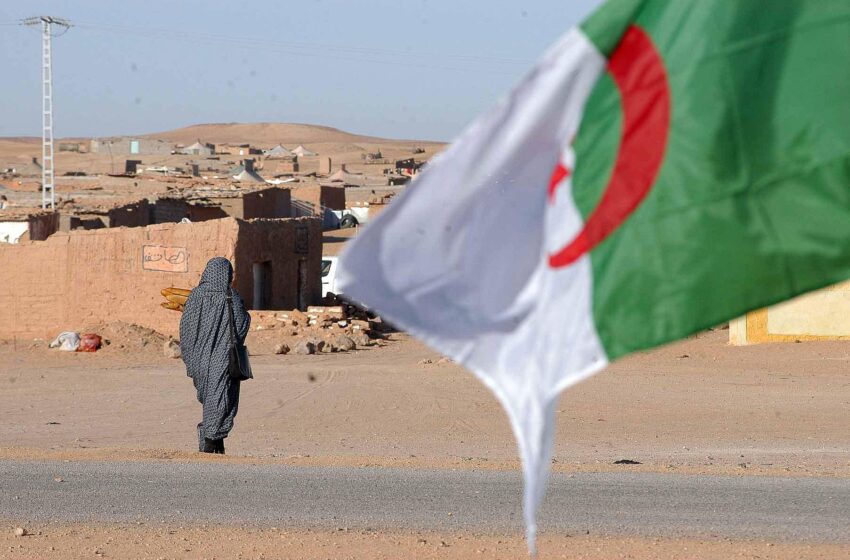  تحالف المنظمات غير الحكومية الصحراوية تنتقد بشدة الجزائر بسبب جرائمها ضد الشعب الصحراوي بتندوف