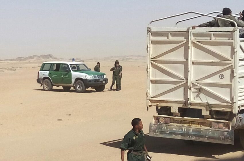  التدهور الحقوقي الجزائري.. ترحيل مهاجرين أفارقة وانتهاك للكرامة الإنسانية