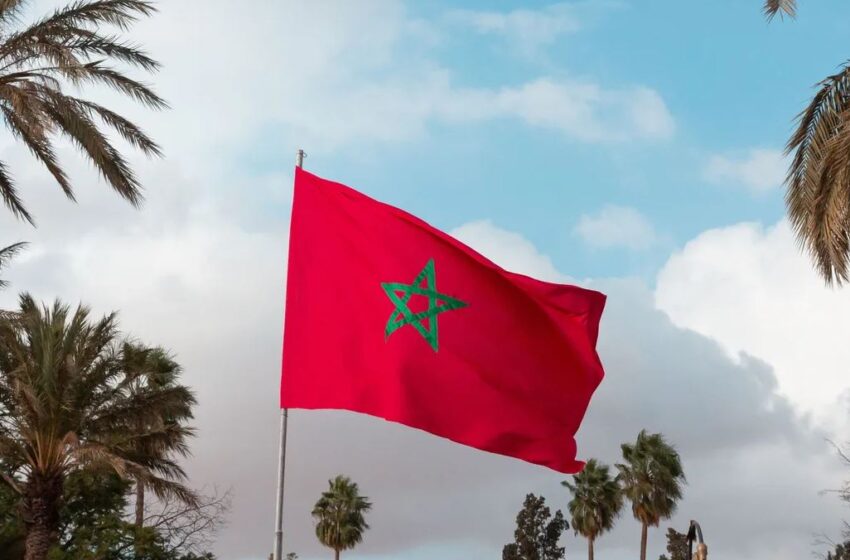  القاهرة تكرم المغرب لجهوده في دعم التعاون بين جامعة الدول العربية والاتحاد الأوروبي لمكافحة انتشار الأسلحة الصغيرة والخفيفة