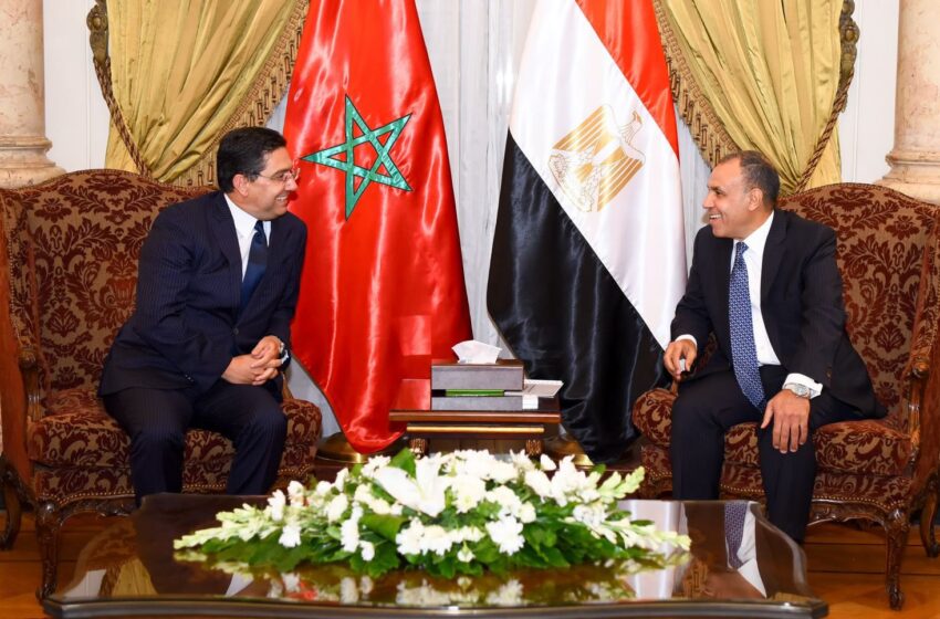  بوريطة يجري بالقاهرة مباحثات مع وزير خارجية مصر تناولت أواصر الأخوة المتينة ووحدة المصير والأهداف المشتركة