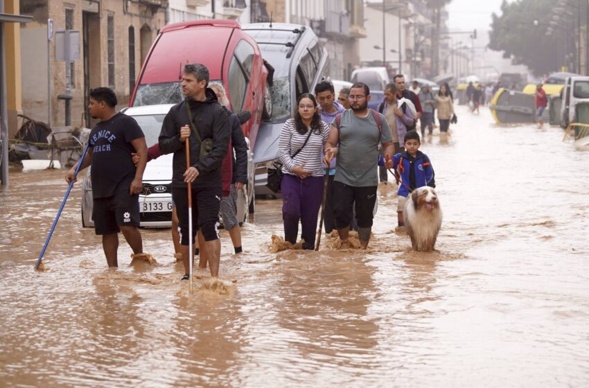  مدير مستشفى فالنسيا.. الجهاز اللوجستي المغربي “ساهم بشكل كبير” في ترميم البنية التحتية المتضررة
