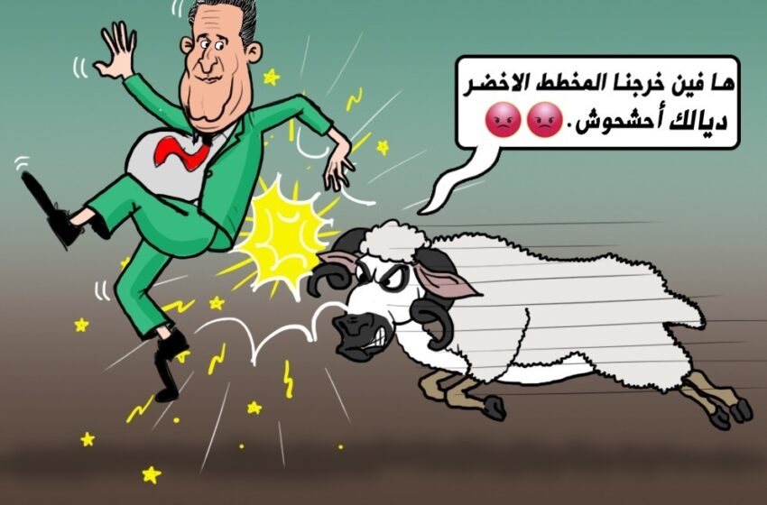  التدخل الملكي يفضح عجز حكومة عزيز أخنوش عن حماية الأمن الغذائي للمغاربة (كاريكاتير)