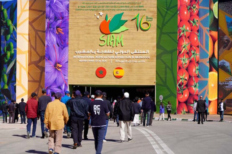  أكثر من 200 ألف زائر يوميا.. دورة ناجحة لمعرض الفلاحة بمكناس