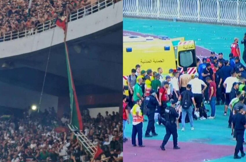  وفاة وإصابات خطيرة.. احتفال جماهير مولودية الجزائر بالتتويج يتحول إلى برك دم داخل الملعب (صور)