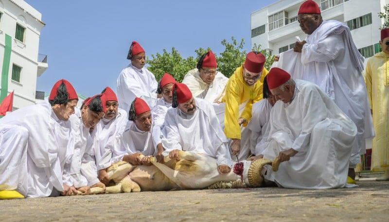  أمير المؤمنين يؤدي صلاة عيد الأضحى المبارك بتطوان ويتقبل التهاني بهذه المناسبة