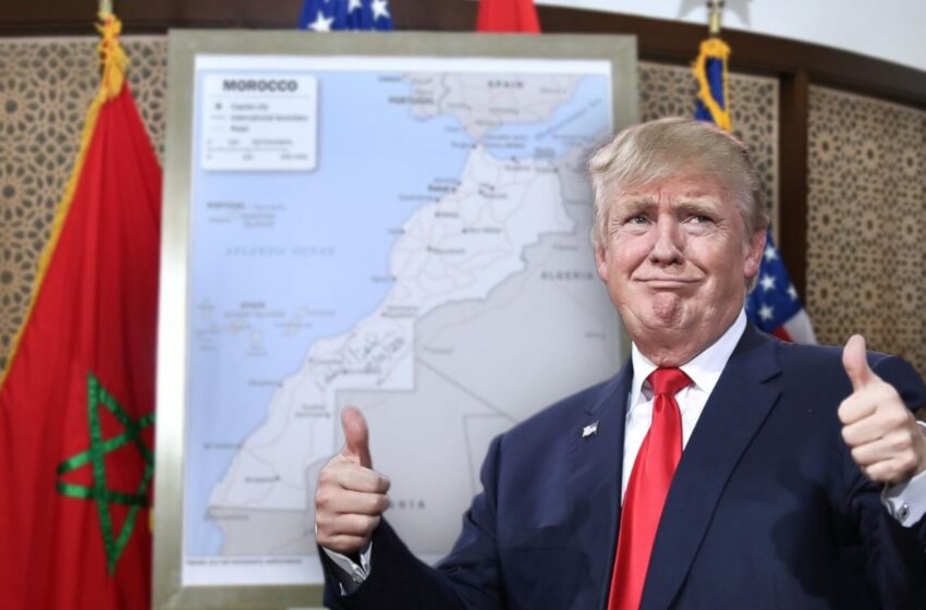  دونالد ترامب يتحرك نحو إنهاء نزاع الصحراء و يلزم الجزائر بتفكيك مخيمات البوليساريو