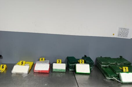 إجهاض محاولة تهريب 47 صفيحة من مخدر الكوكايين بميناء طنجة المتوسط قادمة من البرازيل